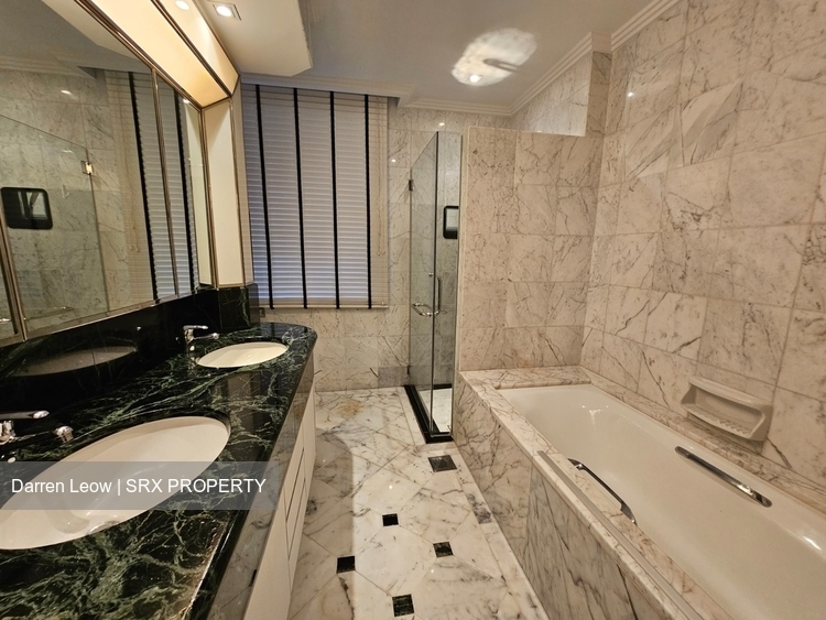 Four Seasons Park (D10), Condominium #447140081